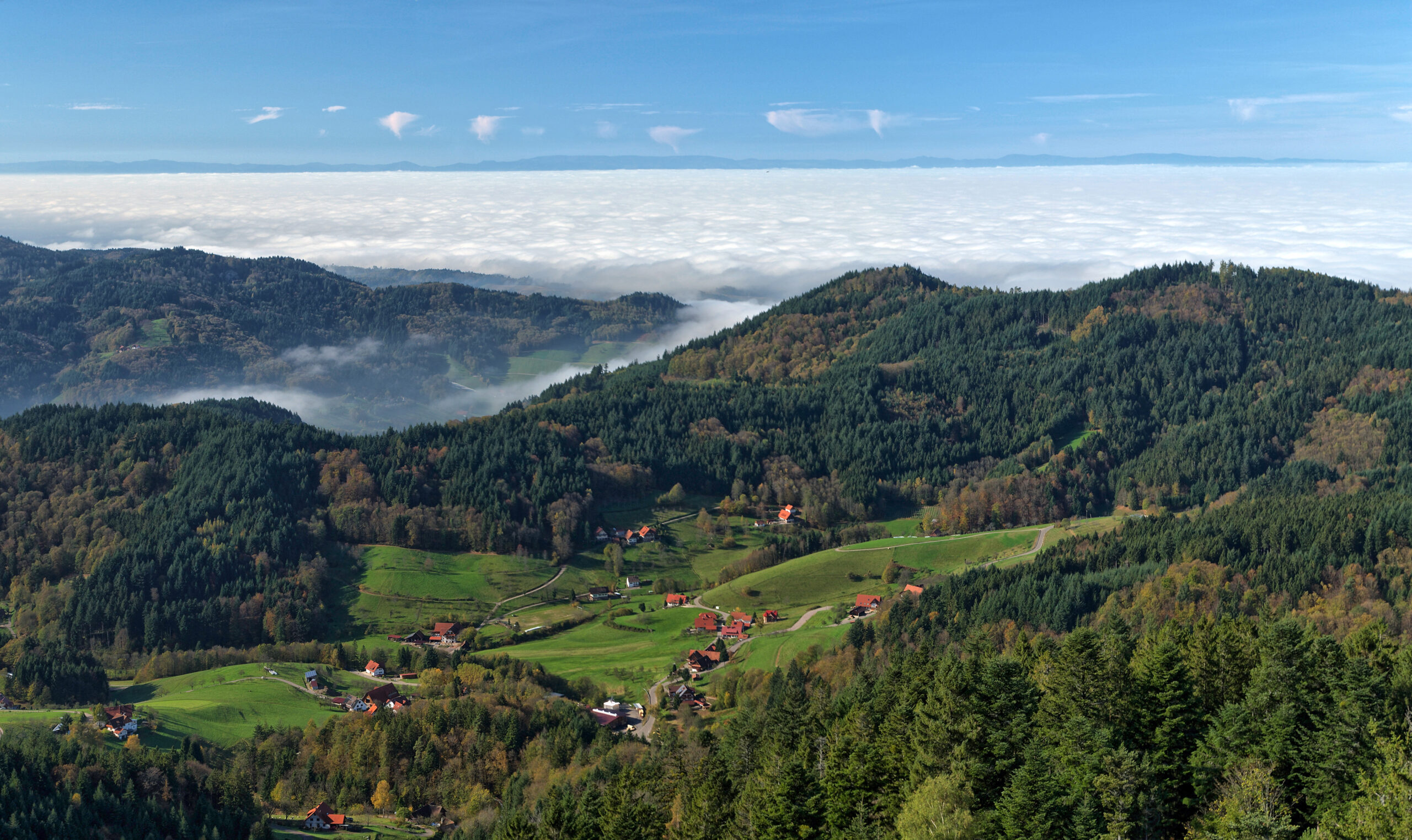 Best Things to Do in Black Forest (Schwarzwald)