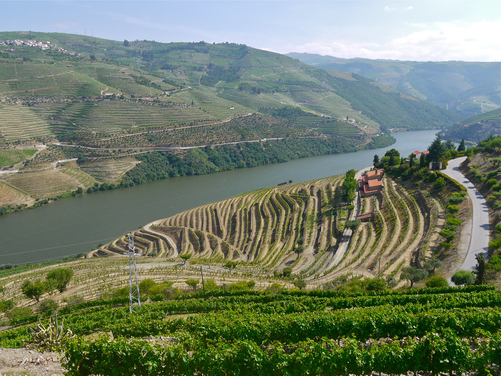 Best Things to Do in Douro Valley, Portugal