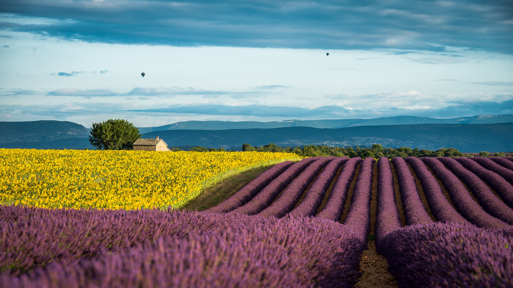 Best Things to Do in Provence, France