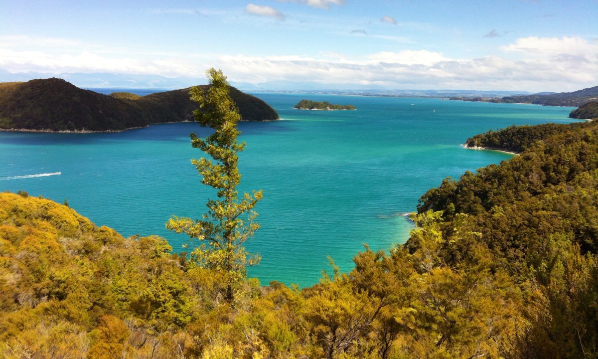 Abel Tasman National Park-Most Beautiful Places to Visit in New Zealand