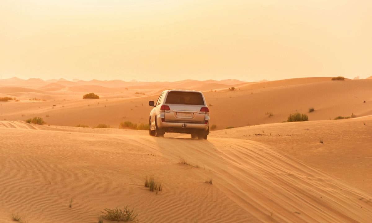 Arabian Desert Safari Dubai - Best Safaris in World