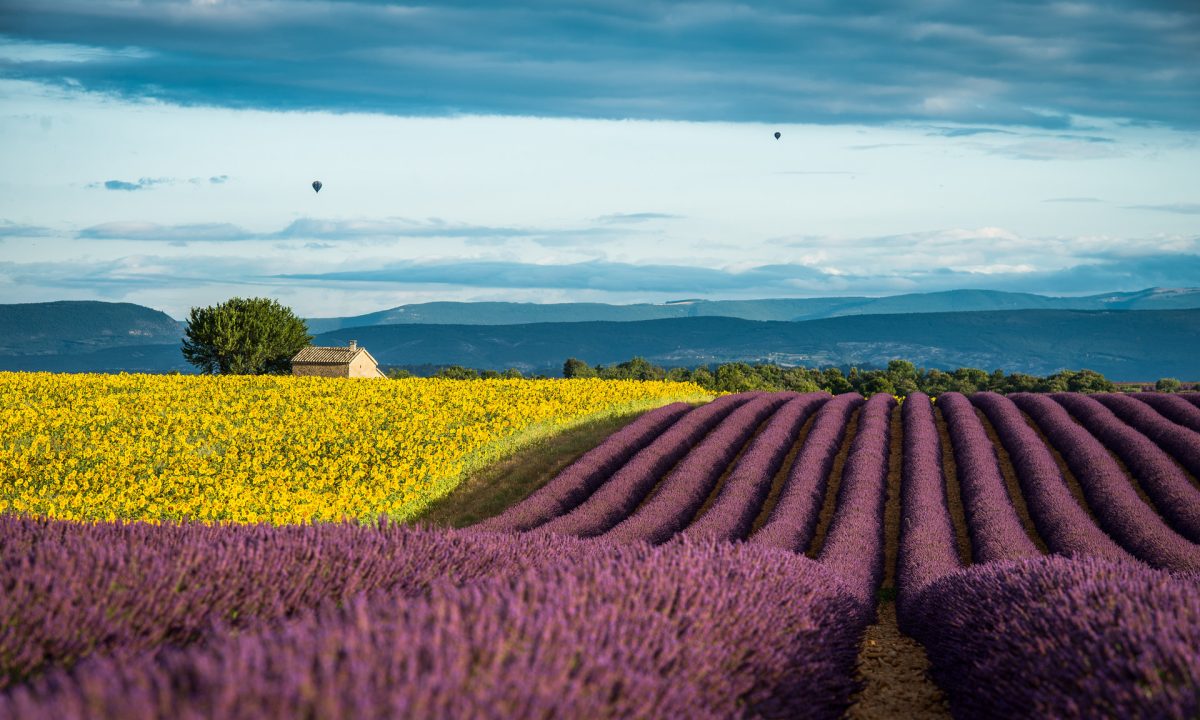 Best-Things-to-do-in-Provence-Place-to-Visit-in-France