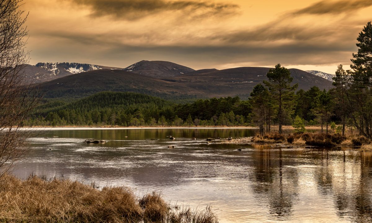 Cairngorms-National-Park-Most-Beautiful-Place-to-Visit-in-Scotland