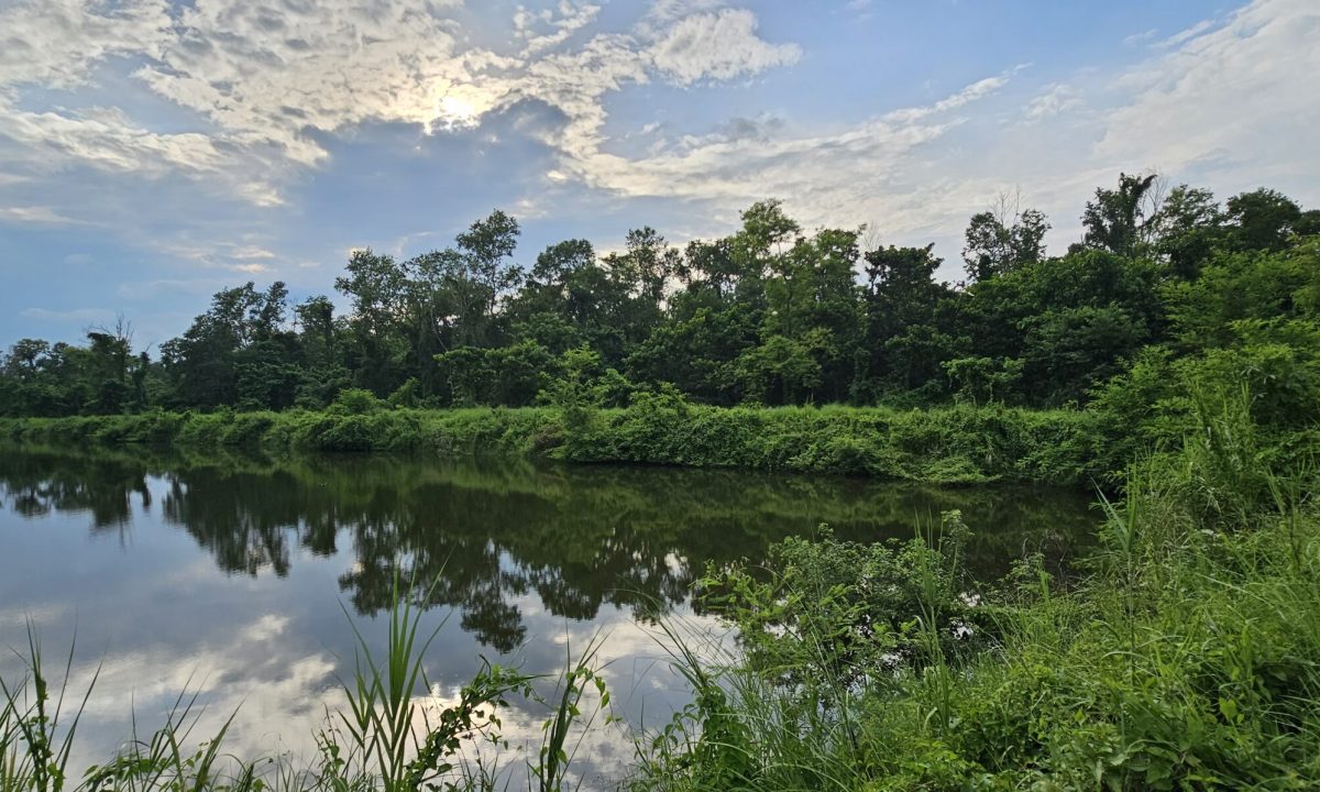 Chitwan National Park-Most Beautiful Places to Visit in Nepal