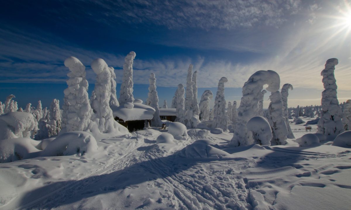 Snowy winter landscape. Riisitunturi, Posio, Finland.