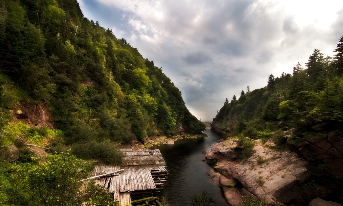 Fundy-Footpath-New-Brunswick-Most-Beautiful-Trek-in-the-Canada