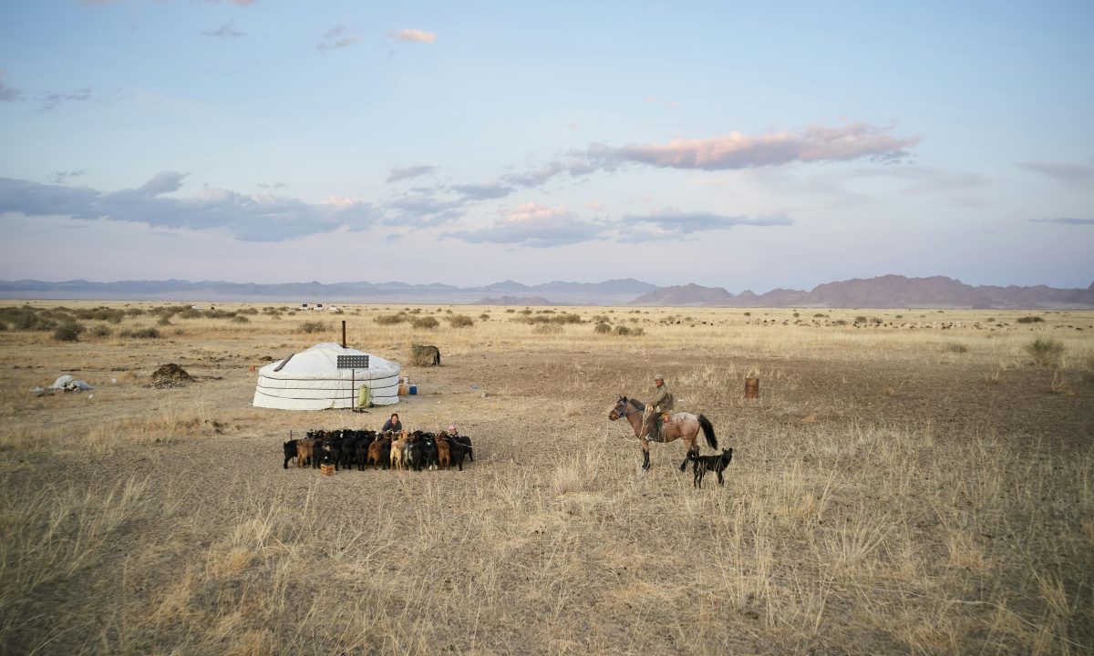 Gobi Desert Safari Mongolia - Best Safaris in World