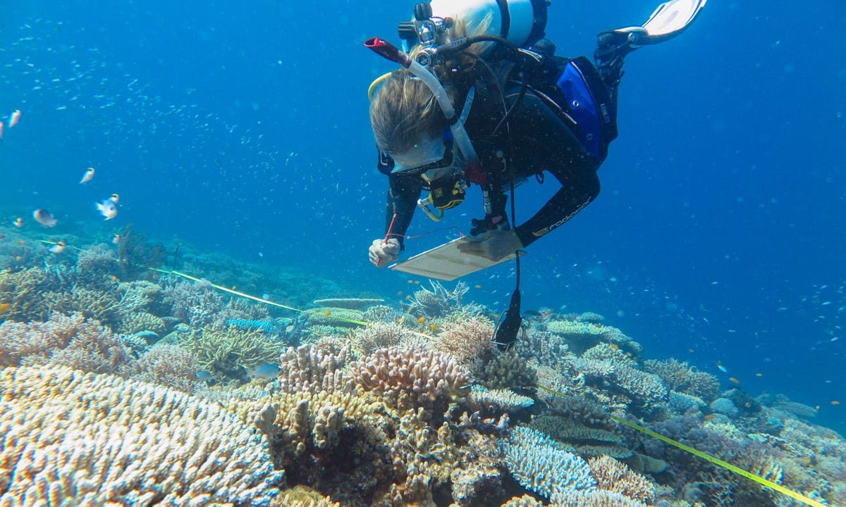 Great-Barrier-Reef-Australia-Best-Beaches-for-Scuba-Diving-in-World