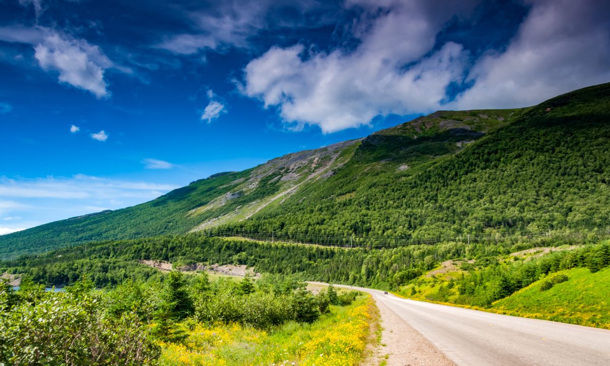 Gros Morne National Park is a world heritage site located on the west coast of Newfoundland. At 1,805 km2 (697 sq mi), it is the second largest national park in Atlantic Canada; it is surpassed by Torngat Mountains National Park, which is 9,700 km2 (3,700 sq mi).
https://en.wikipedia.org/wiki/Gros_Morne_National_Park