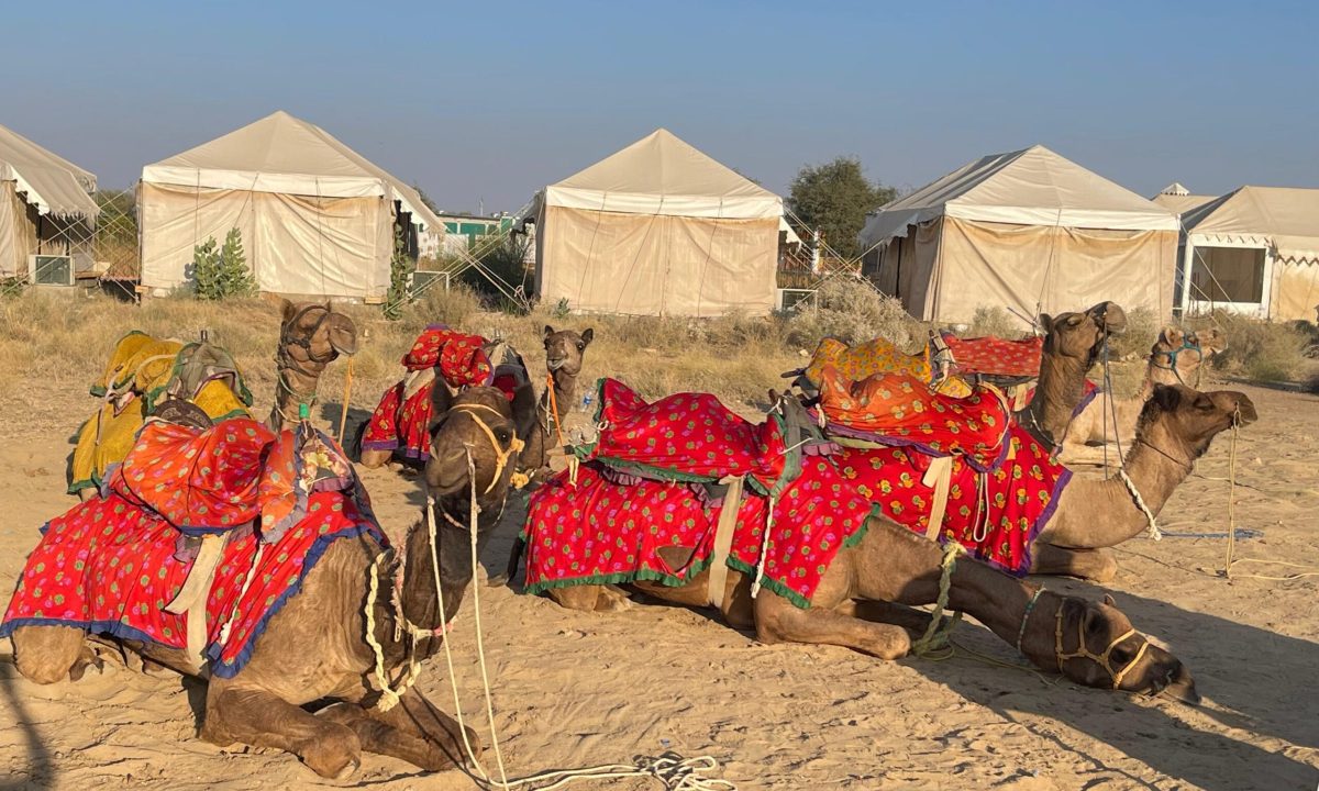 Jaisalmer Desert Safari, India - Best Safaris in World