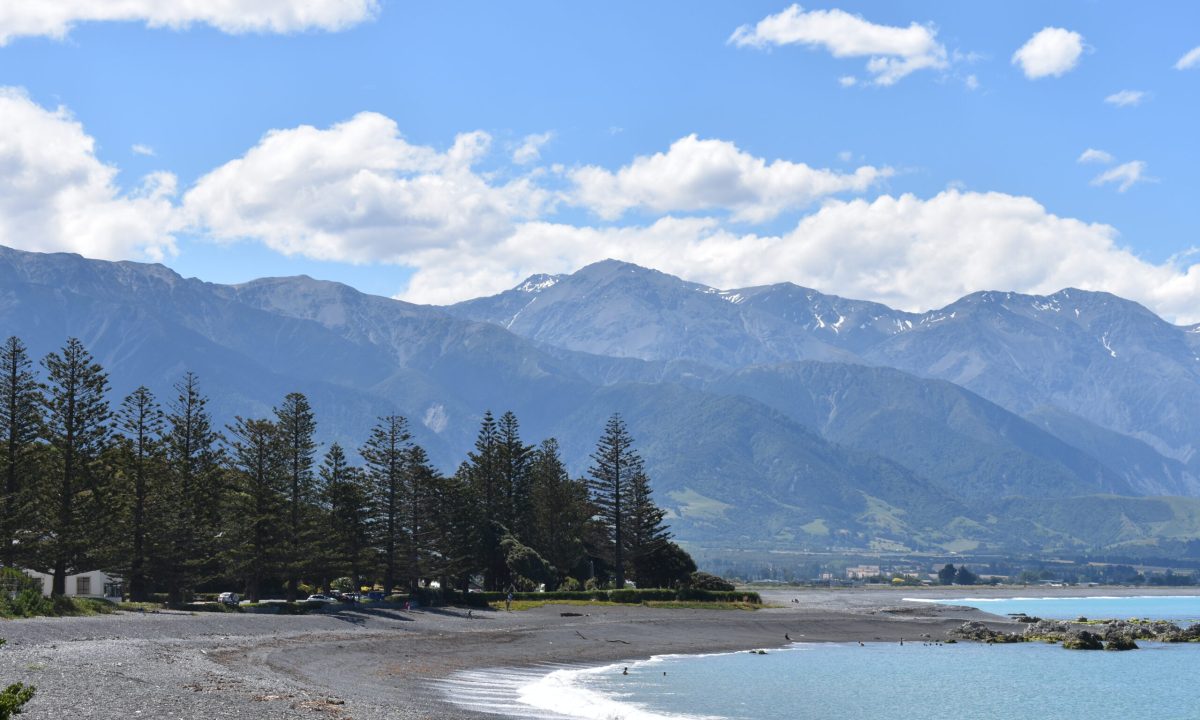 Kaikoura-Most Beautiful Places to Visit in New Zealand