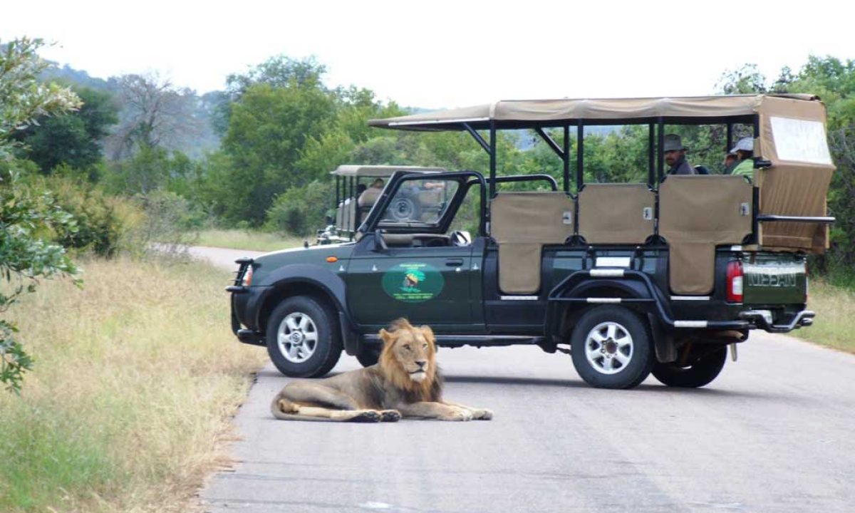 Kruger-National-Park-Safari-South-Africa-Best-Jungle-Safaris-in-World