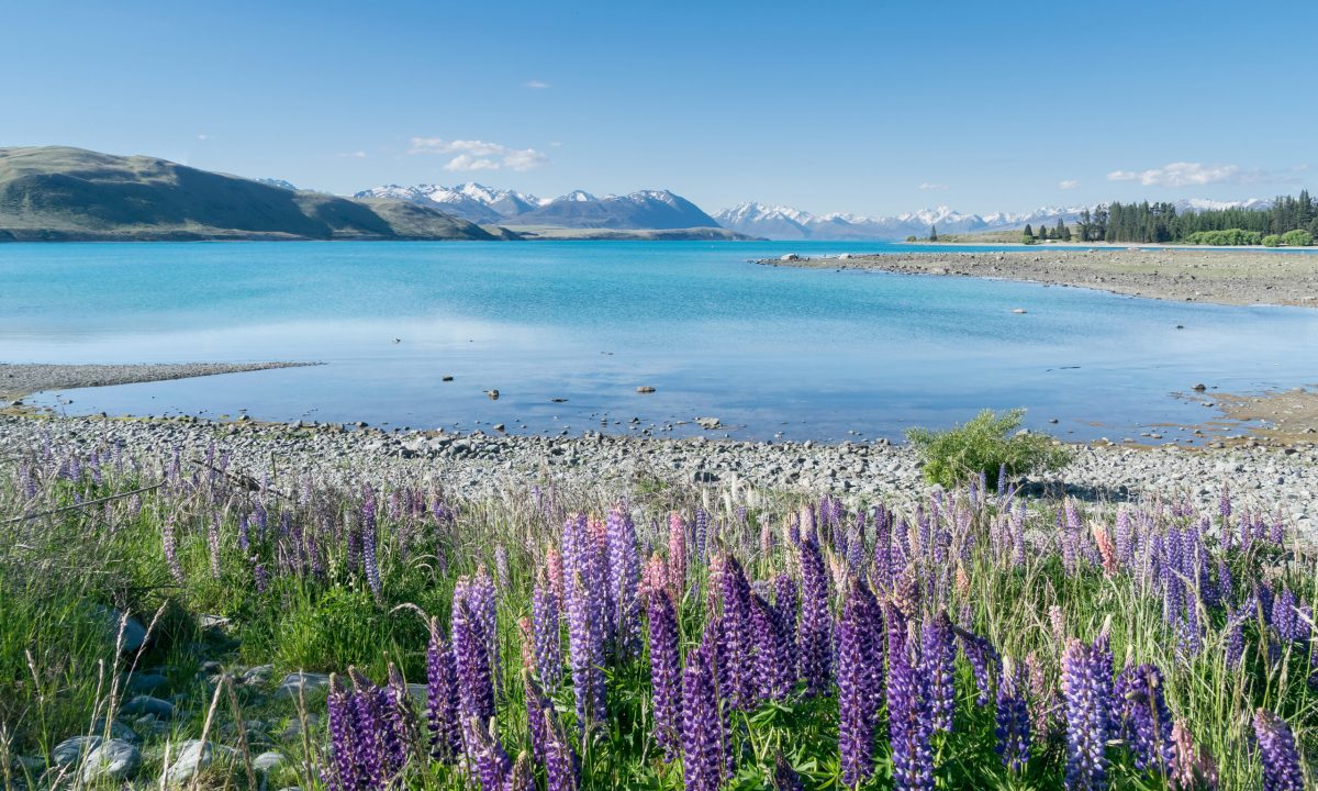 Lake Tekapo-Most Beautiful Places to Visit in New Zealand