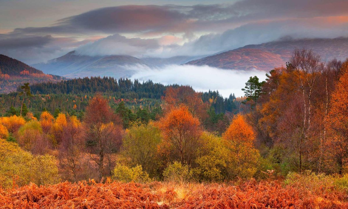 Loch-Lomond-and-The-Trossachs-National-Park-Most-Beautiful-Place-to-Visit-in-Scotland