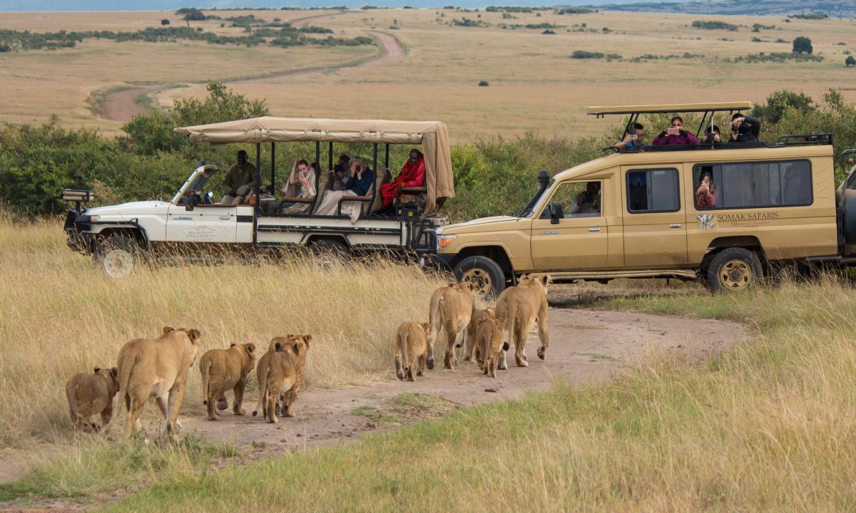 Maasai-Mara-Safari-Kenya-Best-Jungle-Safaris-in-World