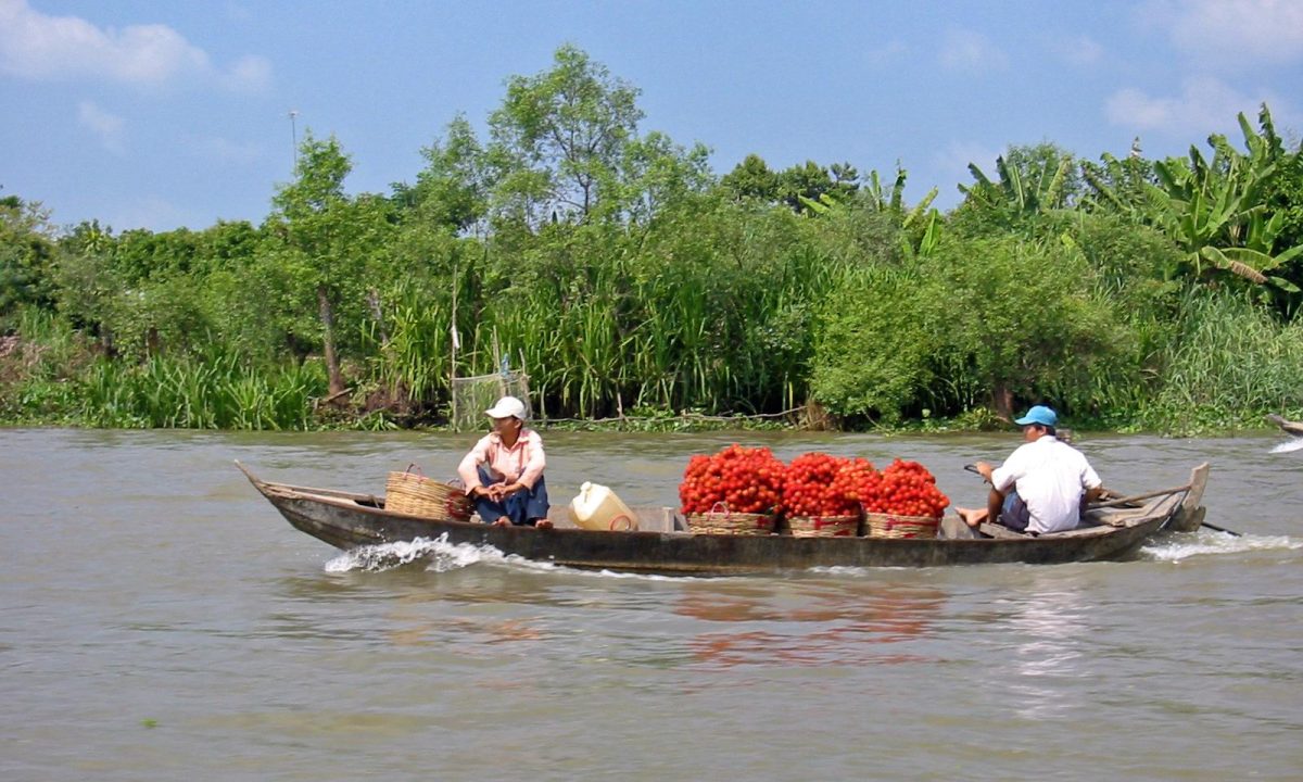 Mekong Delta-Most Beautiful Places to Visit in Vietnam