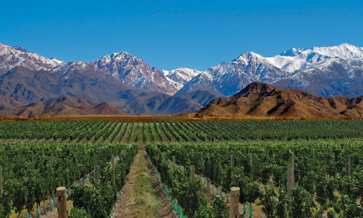 Mendoza - Most Beautiful Places to Visit in Argentina