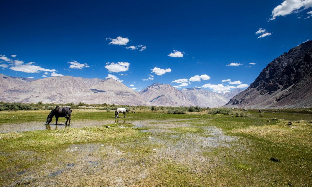 Nubra Valley - Best Places to Visit in Ladakh, India