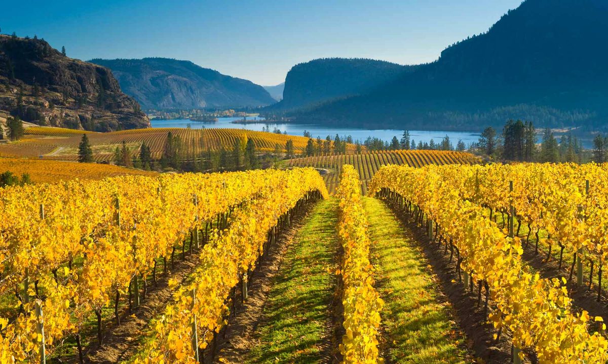 Okanagan-Valley-British-Columbia-Most-Beautiful-Place-to-Visit-in-Canda