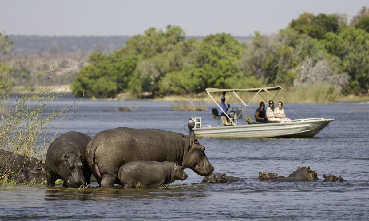 Okavango-Delta-Safari-Botswana-Best-Jungle-Safaris-in-World