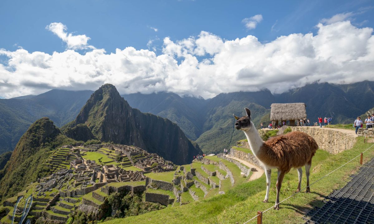 Eine Inka-Stätte für eine Lama