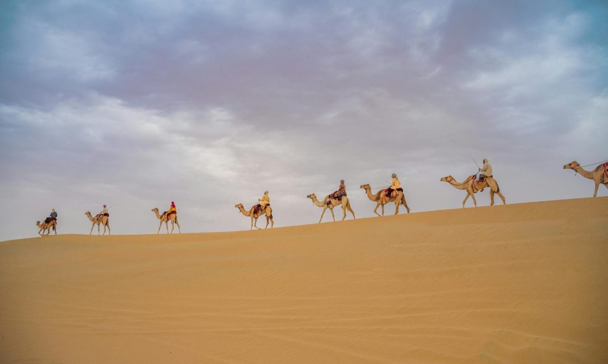 Rajasthan Desert Safari India Best Safaris in World