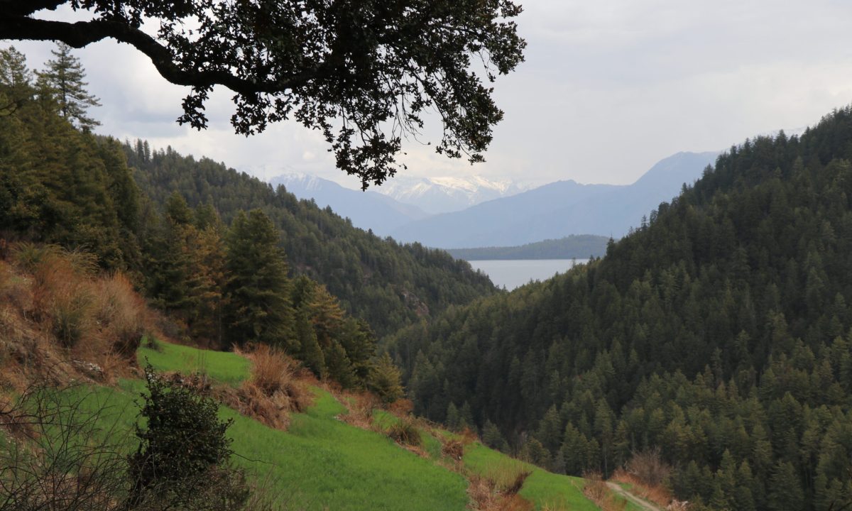 Rara National Park-Most Beautiful Places to Visit in Nepal