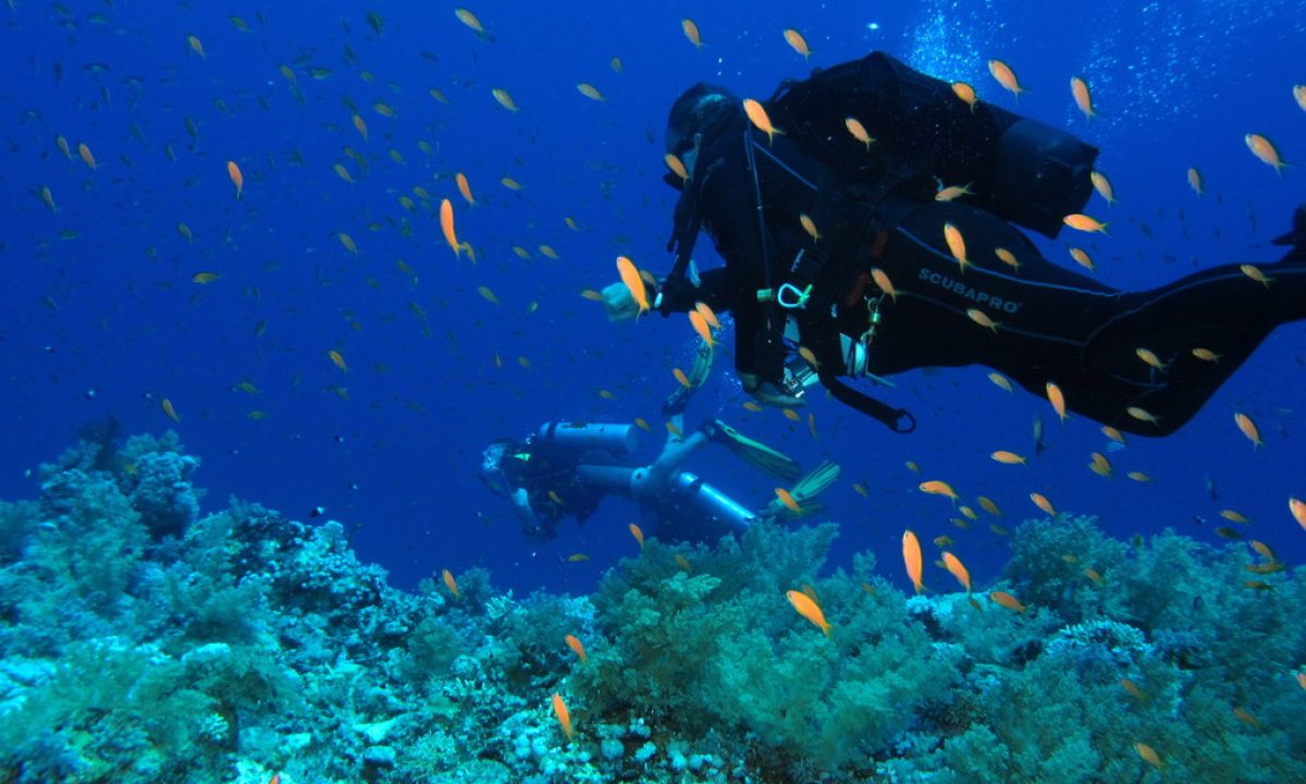 Red-Sea-Egypt-Best-Beaches-for-Scuba-Diving-in-World