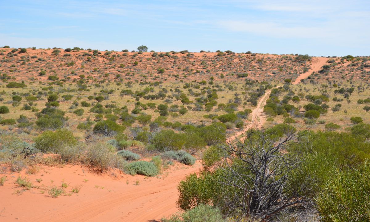 Simpson Desert Safari, Australia - Best Safaris in World