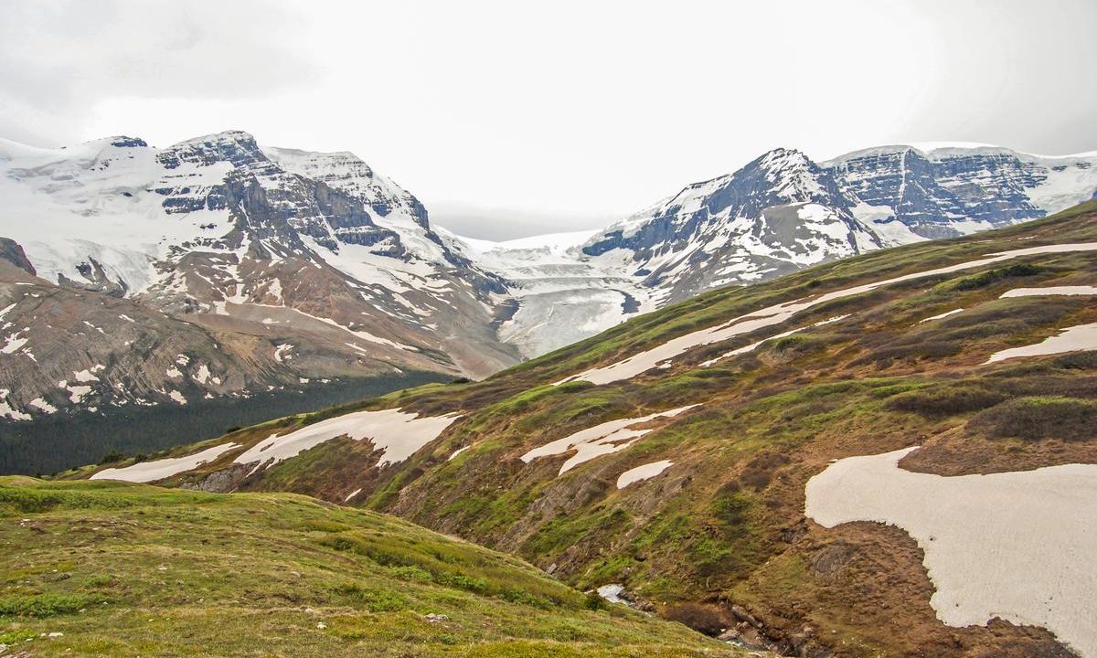 Athabasca Glacier again, this time behind the rising hills of this side of the valley.  There's a stream running in the depression and the trail from this point on veers away from the edge, leaving less wide views of the glacier.