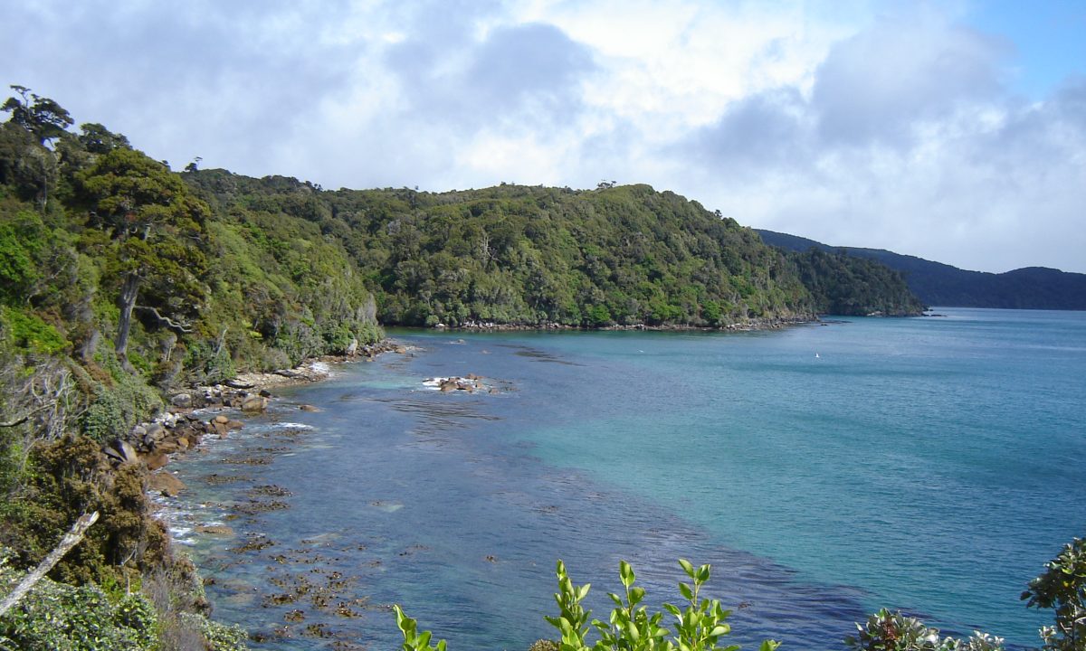 Stewart Island (Rakiura)-Most Beautiful Places to Visit in New Zealand