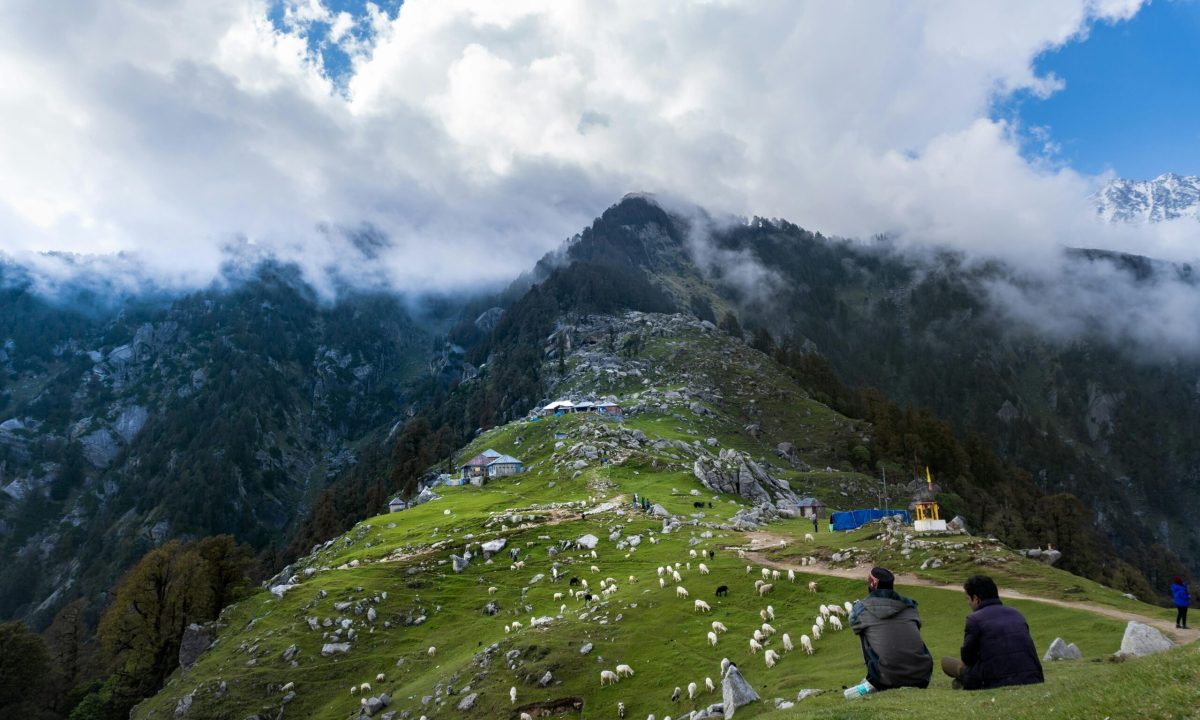 Triund Trek-Beautiful-Trek-in-Mcleod-Ganj-Himachal-Pradesh