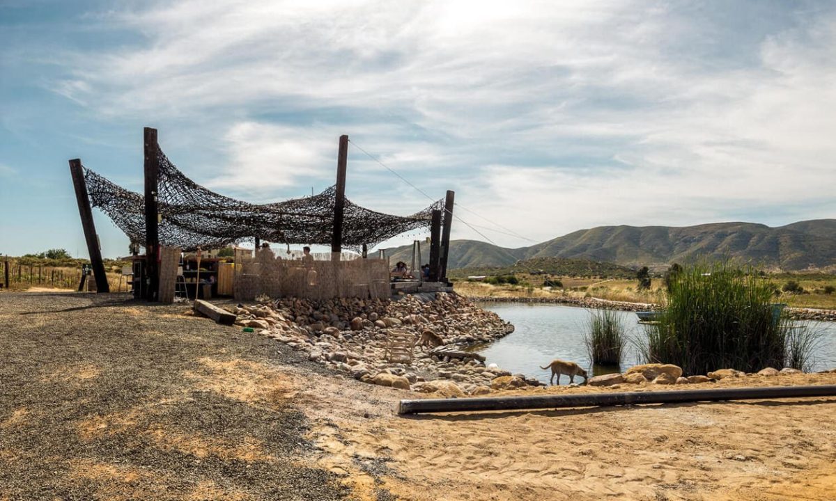 Valle de Guadalupe - Most Beautiful Places to Visit in Mexico