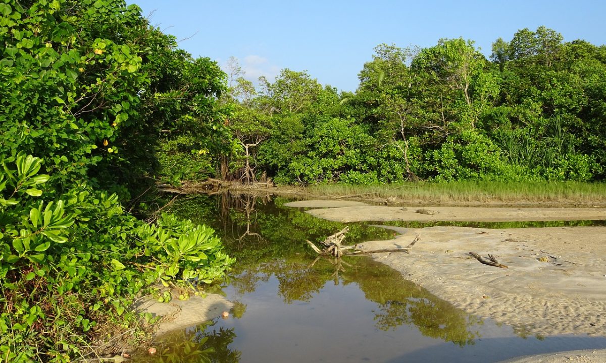 Wandoor Beach-Best places to visit in Andaman and Nicobar Island