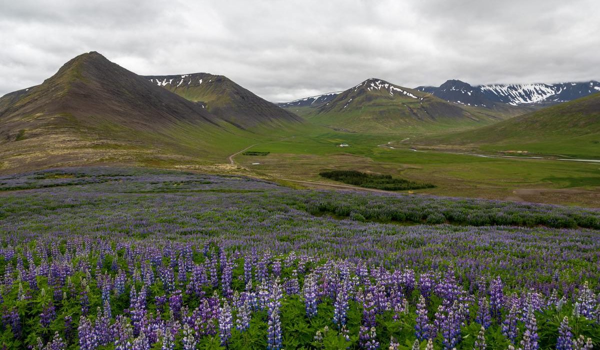 Westfjords - Best Places to Visit in Iceland